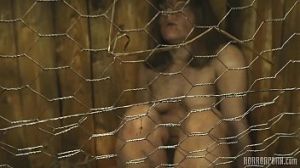 Пленницы в кроличьей клетке